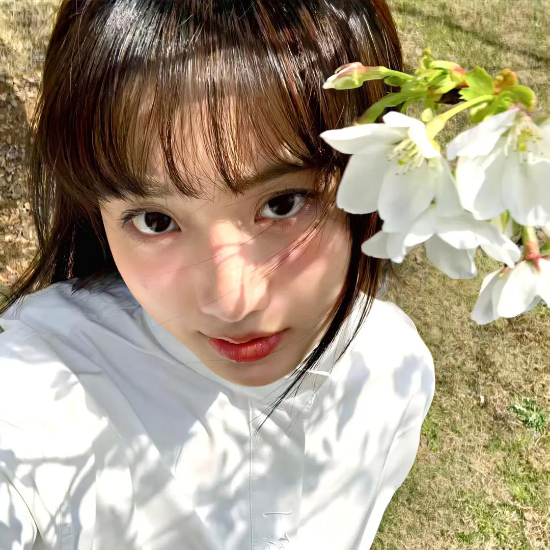 谍报飞龙